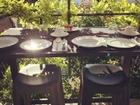 雲雀住宿加早餐旅館 格拉斯酒店