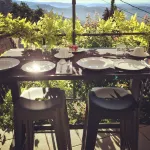 Skylark Bed & Breakfast