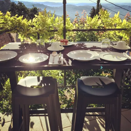 Skylark Bed & Breakfast Отели в г. Грас