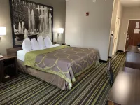 Super 8 by Wyndham Hernando Hotels in Nesbit