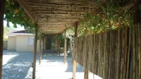 Luxury Wild Inn
