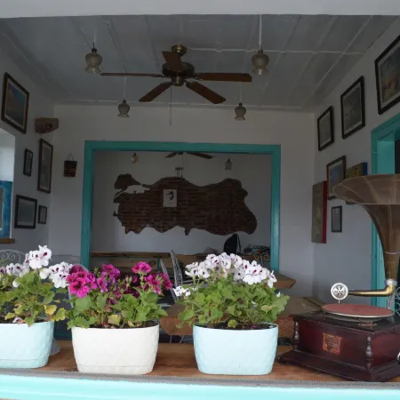 Cunda Mavi Otel - Adults Only