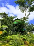 Quarumanu Area Hotels in Iuiak