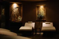 Hotel Julien Dubuque - spa