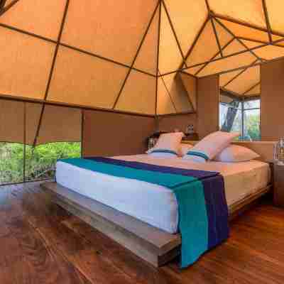 Kodev Rooms