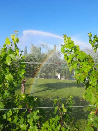 Corte Davini Agriturismo