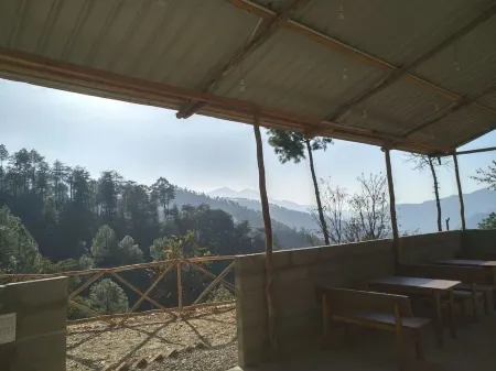 Jungle Stays Отели в г. Солан