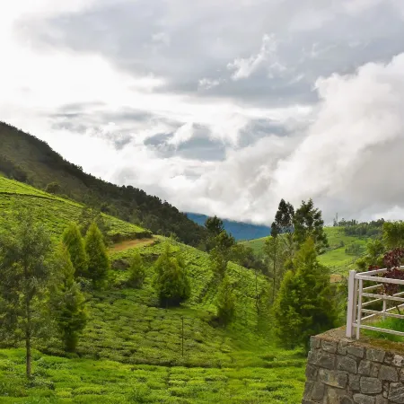 Green Nest Resort Ooty