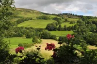 High Fold Guest House Hotels in Lakes