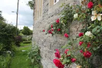 The School House Hotels in Sedgemoor