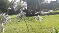 Lallapanzi Country Stay