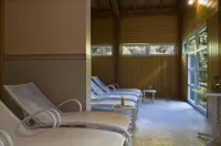 Cocoon Hotel la Rive Hotels in Diekirch