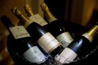 Locanda Della Mimosa - bar