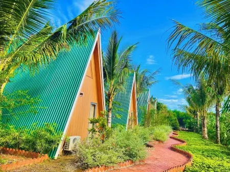 Xanh Homestay Отели в г. Phu Cat District