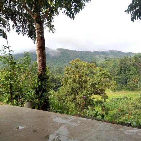 Evergreen Villa - Sinharaja