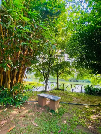 Vimanra Udawalawa Отели рядом с достопримечательностью «Bo Tree»