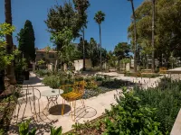 Schumacher Hotel Haifa Hotels near The Quiet Beach