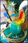 Club Cocomo - Bares
