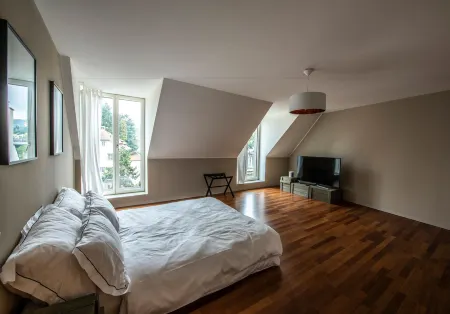 Lucerne Lake View Apartments Отели рядом с достопримечательностью «Natur-Museum Luzern»