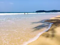 Phayam Coconut Beach Resort - en bord de mer