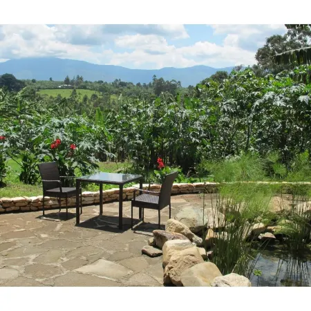 Koi Koi, Fort Portal