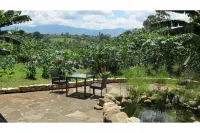 Koi Koi, Fort Portal