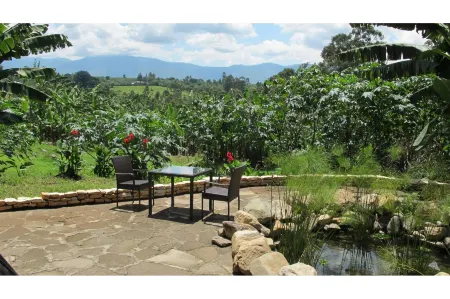 Koi Koi, Fort Portal