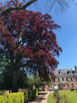 Hotel Les Champs Hôtels à : Saint-Aubin-de-Bonneval
