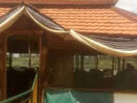 Rock Beach Resort Hotels in Ruiru