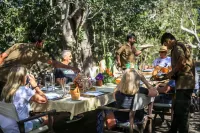 Yala Safari Camping - breakfast
