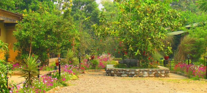 Chitwan Gaida Lodge - Animal Lovers & Birdwatchers Paradise Hotels in Sauraha