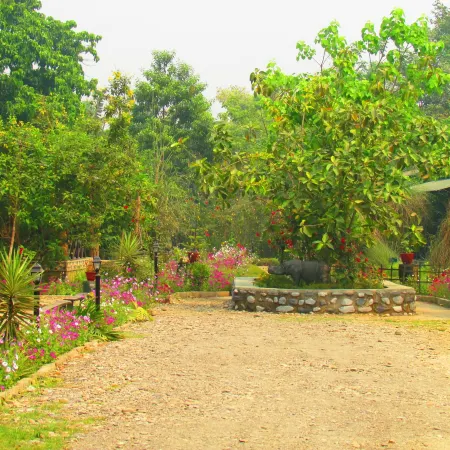Chitwan Gaida Lodge - Animal Lovers & Birdwatchers Paradise