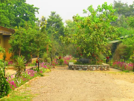 Chitwan Gaida Lodge - Animal Lovers & Birdwatchers Paradise
