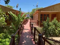 Parcela Los Nonos Hotels in Vicuna