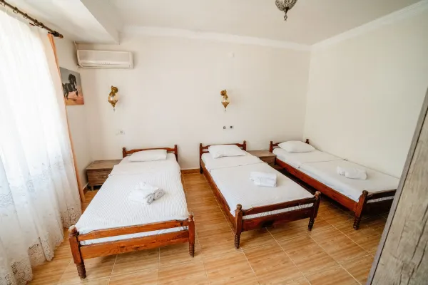 يوكاليبتس بينشن الغرف Photos