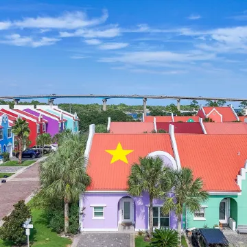 Purple Paradise