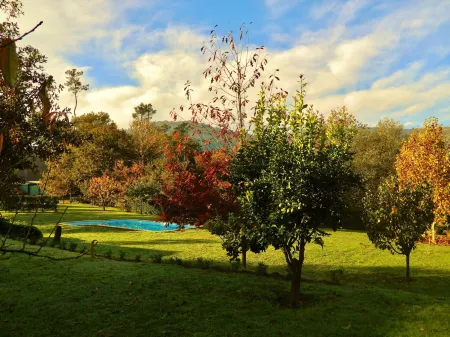 Villa with Pool Отели в г. Аркуш-ди-Валдевеш