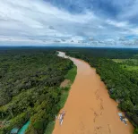 Tanini Kinabatangan (Formerly known as Nature Lodge Kinabatangan)