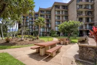 Sunny and Soothing Oceanfront Vistas