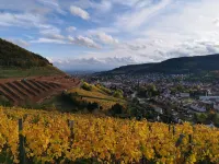 Quiet new studio 2 minutes from town center, 20 minutes from Colmar,