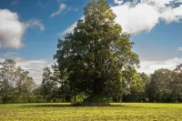 Escape to Paradise in La Fortuna – Your Private 2-Bedroom Retreat Awaits!