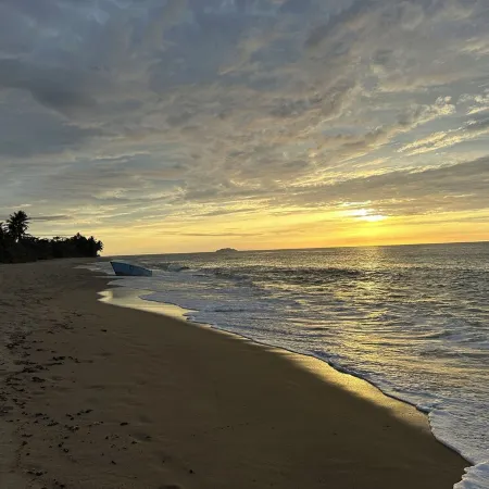 Surfer's Tropical Paradise Отели в г. Агуада