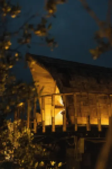 Casa Selvaggio Hotels in 