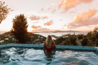 Amazing Views,6 Bdrm, Private Pool-Cruz Bay - Whole House Generator - ヴィラ