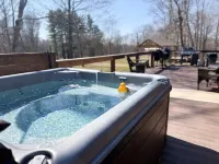 Beautiful Secluded Cabin with hot tub on 50 acres Hotels in Swan Township