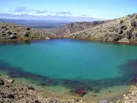 Great value Cottage - 20 mins to Whakapapa 라우리무 호텔