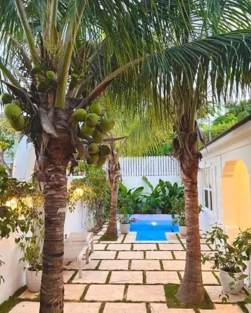 Bamboo House: Charming Private Tropical Oasis in the Heart of the Village. Отели в г. Данмор-Таун