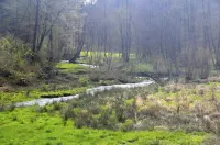 Apartment Neuwied / Oberbieber. Hotels near Naturpark-Silbersee Neuwied-Engers