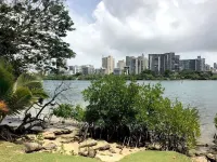 Paradis - Luxurious Apartment with Ocean View and Balcony.