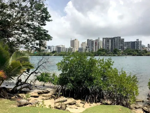 Paradis - Luxurious Apartment with Ocean View and Balcony.